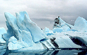 Two eagles perched on an iceberg from the Columbia Glacier