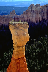 Close-up of a hoodoo at Bryce Canyon
